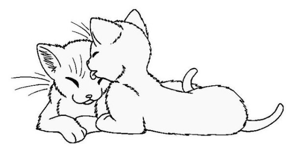 Раскраска два котика