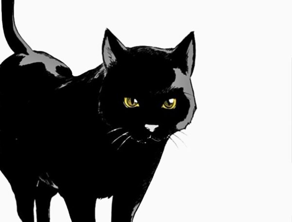 Нарисованный черный кот