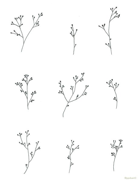 Веточка эскиз