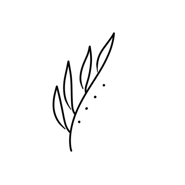 Тату веточка эскиз