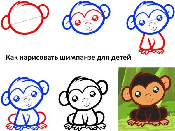 Как нарисовать обезьяну для детей