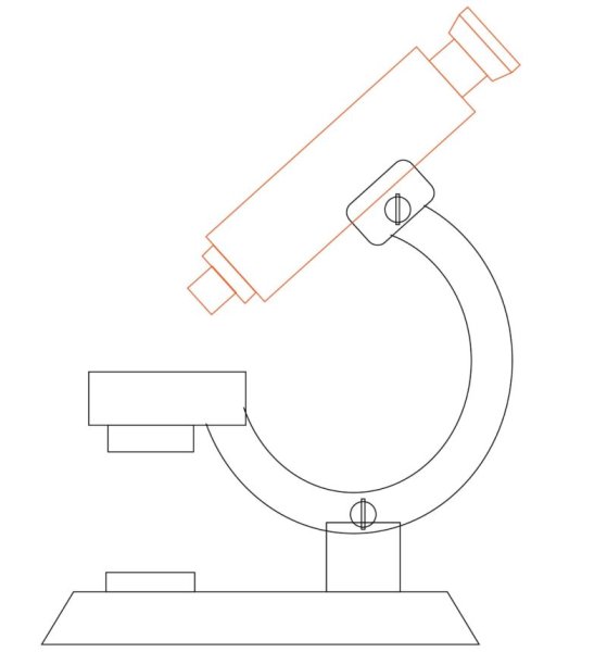 Микроскоп разукрашка
