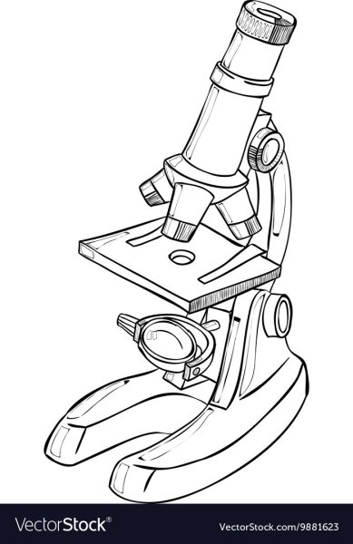 Разукрашка световой микроскоп