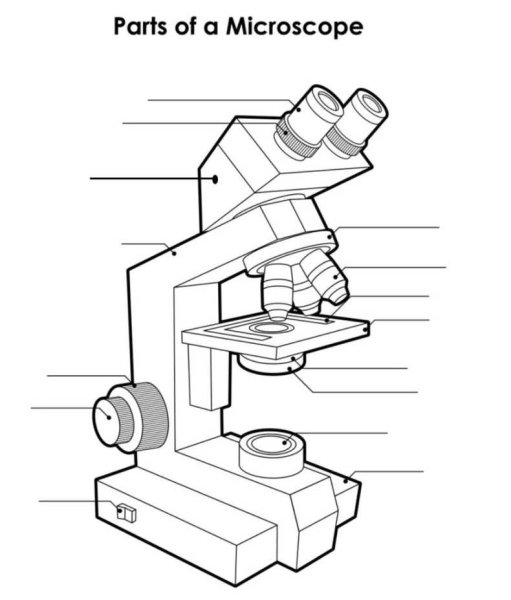 Микроскоп пошагово