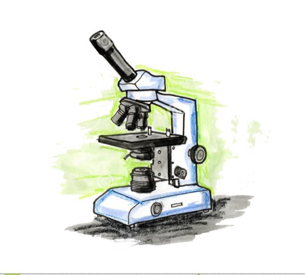 Микроскоп эскиз