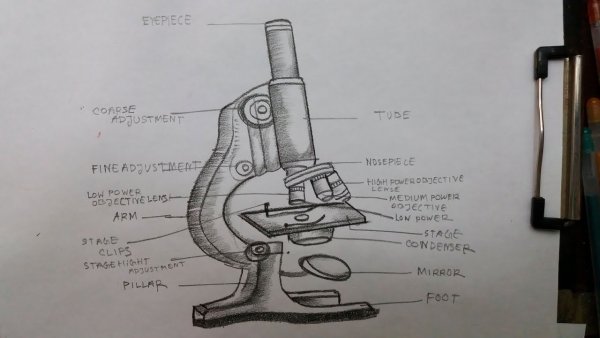 Микроскоп Mic med 5