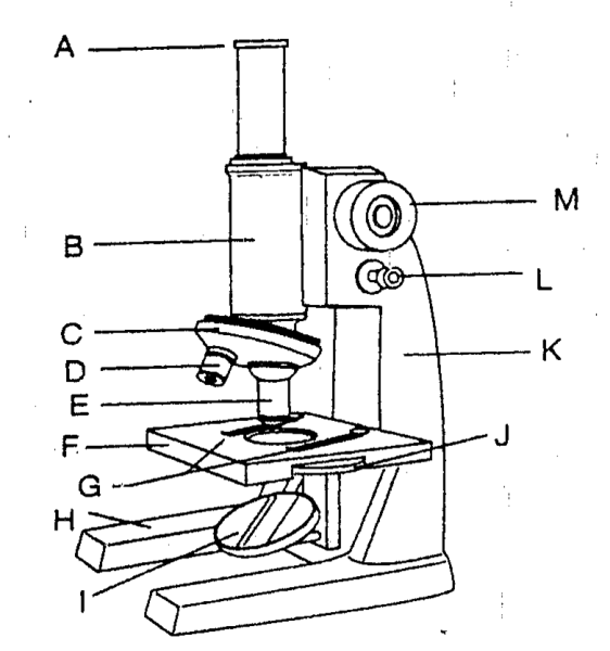 Микроскоп 4xb строение