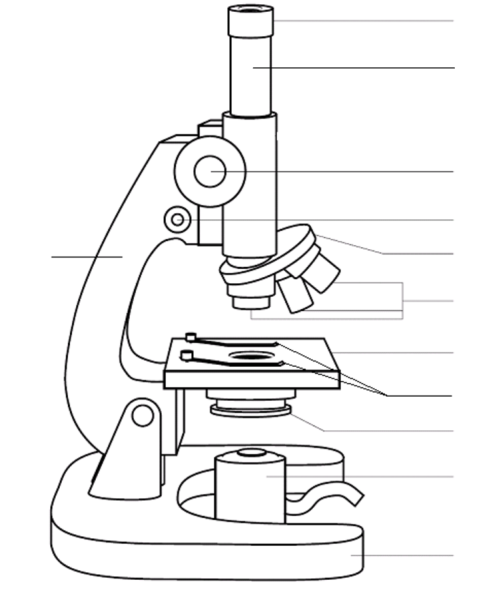 Микроскоп вид сбоку чертеж