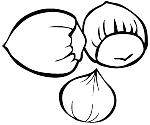 Орех рисунок для детей карандашом