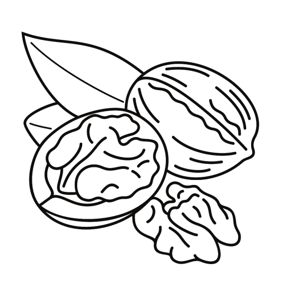 Орехи карандашом