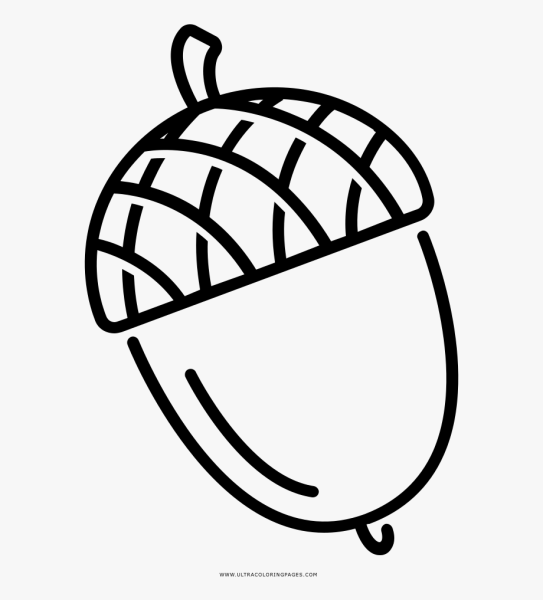 Орехи карандашом