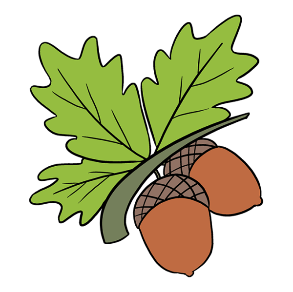 Желудь раскраска