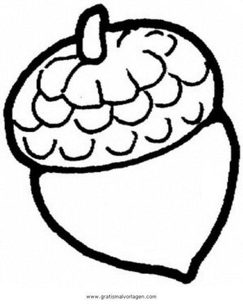 Раздаточный материал желуди