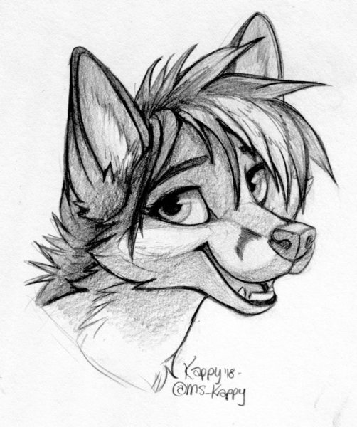 Наброски для рисования фурри