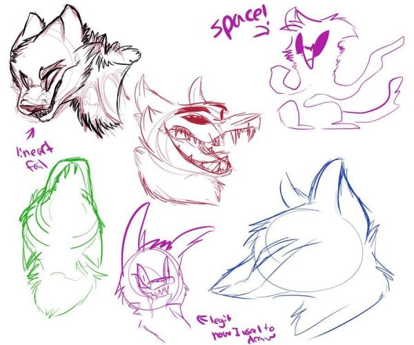 Анатомия фуррей