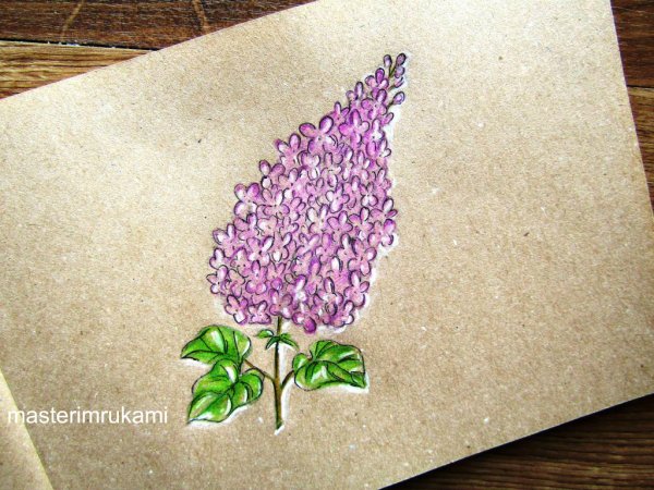 Сирень карандашом