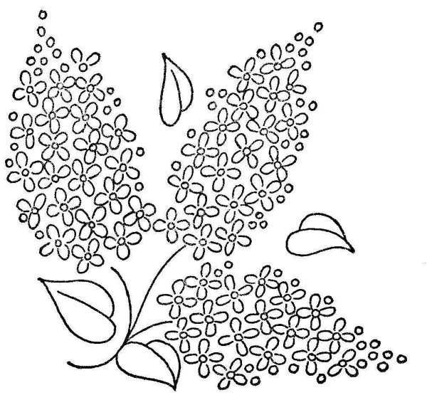 Букет сирени рисунок