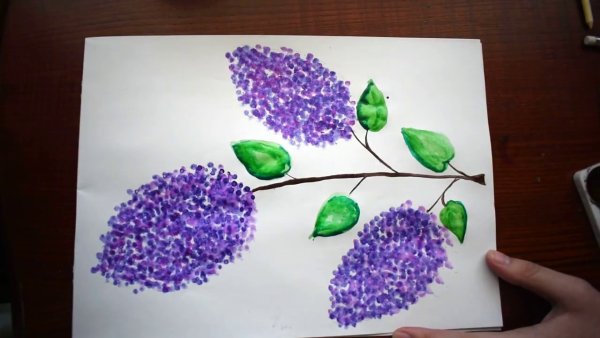 Сирень карандашом