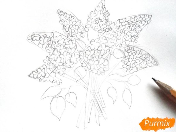 Веточка сирени для рисования