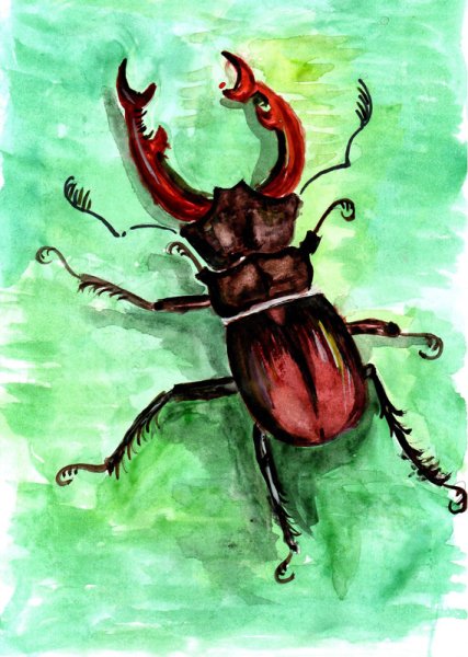 Жук Рогач нарисовать