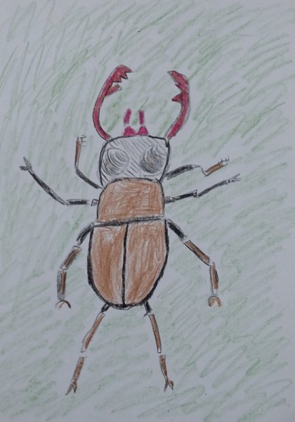Жук детский рисунок