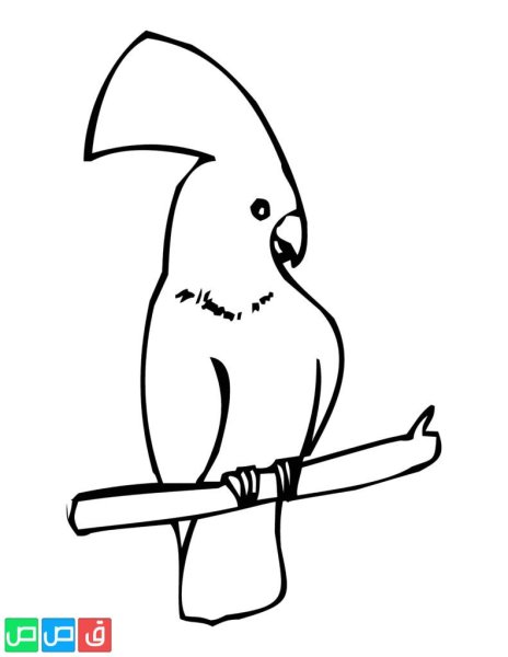 Попугай срисовка легкие