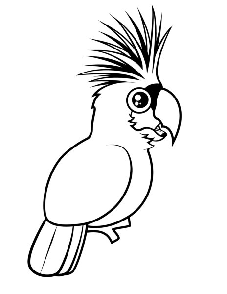 Попугай Какаду контур