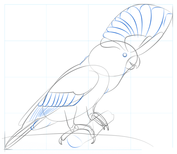 Какаду карандашом