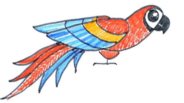 Попугай рисунок фломастерами