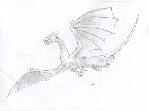 Рисунки драконов легкие для срисовки
