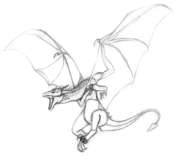 Рисунки летающие драконы карандашом