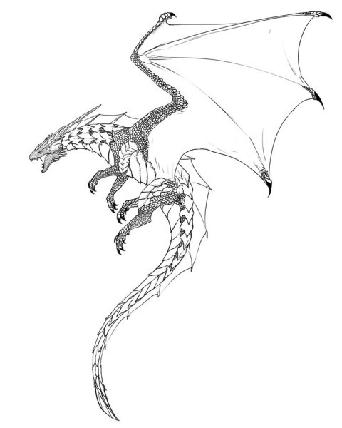 Дракон эскиз карандашом
