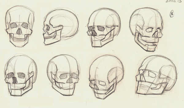 Череп туториал анатомия