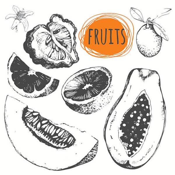 Дыня стилизация