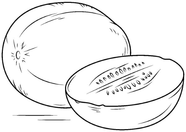 Дыня контур