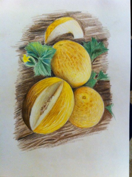 Нарисовать дыню