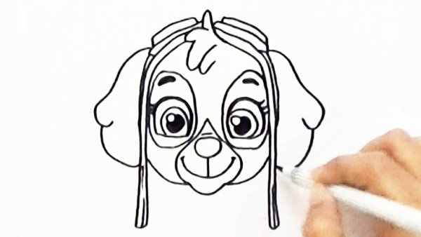 Скай Щенячий патруль для срисовки