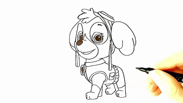 Скай Щенячий патруль рисунок