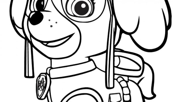 Раскраски для детей Щенячий патруль Скай
