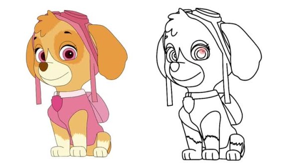 Разукрашка Щенячий патруль Скай