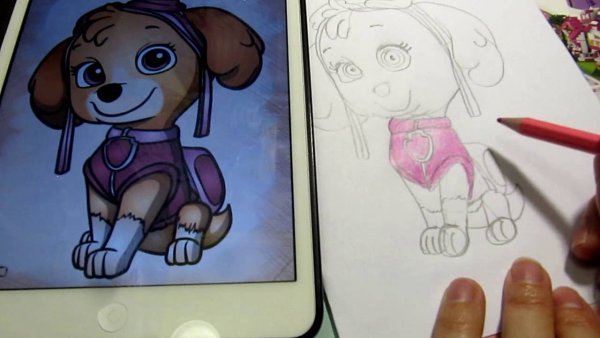 Скай раскраска Щенячий патруль