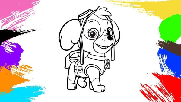 Paw Patrol Ausmalbilder