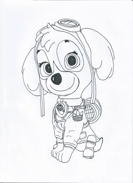Скай раскраска Щенячий патруль