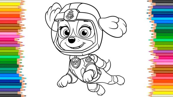 Разукрашки Скай Щенячий патруль