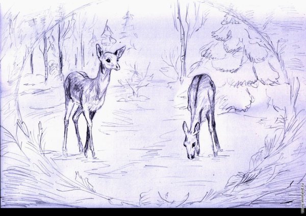 Схемы рисования для малышей