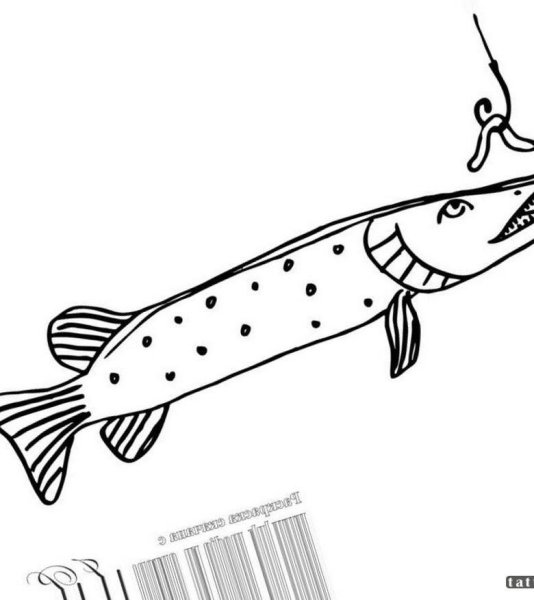 Рисование щука