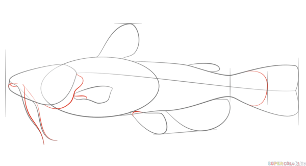 Щука раскраска