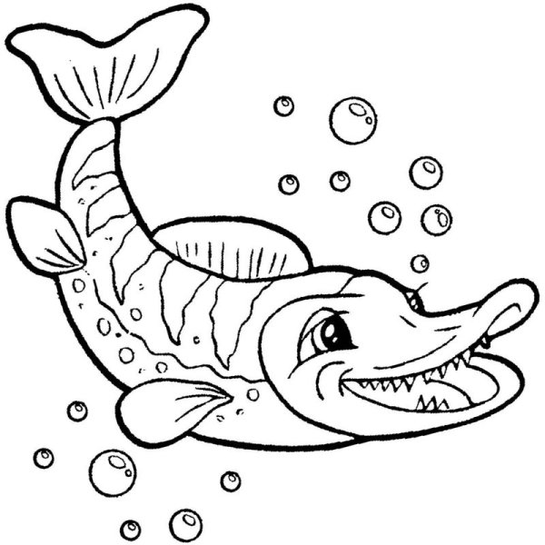 Поэтапное рисование щуки для детей