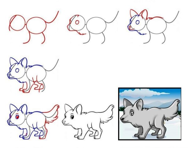 Пошаговое рисование волка