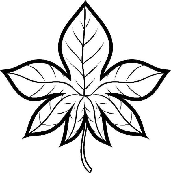 Листочки карандашом для срисовки